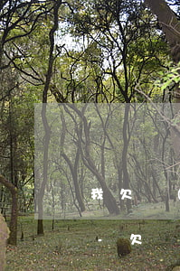 我欠達(dá)飛云貸兩萬還不上了怎么辦-欠達(dá)飛云貸10000兩年了還不上怎么辦?會(huì)有什么樣的后果