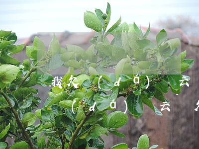我欠達(dá)飛云貸兩萬還不上了怎么辦(達(dá)飛云貸欠了三萬塊二年沒有還了怎么辦)