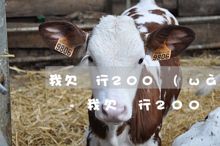 我欠銀行200萬(wàn)被起訴了怎么辦-我欠銀行200萬(wàn)被起訴了怎么辦理