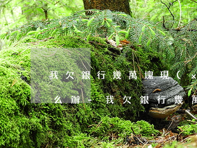 我欠銀行幾萬塊現(xiàn)在還不起怎么辦-我欠銀行幾萬塊現(xiàn)在還不起怎么辦呢