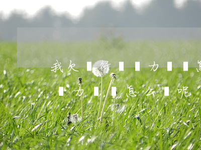 我欠銀行錢無力償還怎么辦呢-我欠銀行錢無力償還怎么辦呢