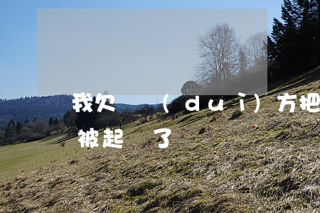 我欠錢對(duì)方把我起訴了(欠人家錢被起訴了)