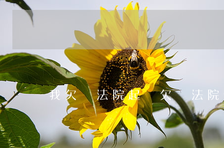 我欠錢法院起訴(欠錢法院起訴費用是多少)