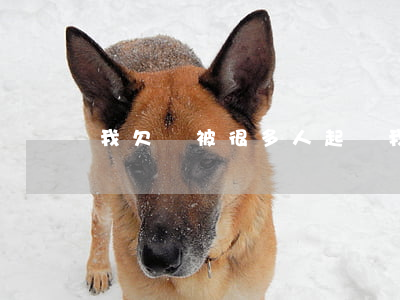 我欠錢被很多人起訴(我欠錢被很多人起訴)