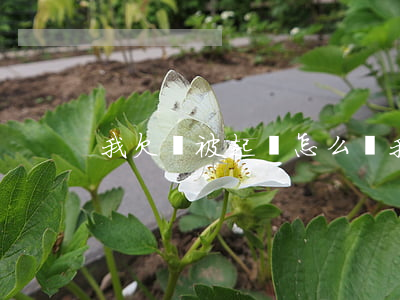 我欠錢被起訴怎么辦 我欠錢被起訴了怎么辦