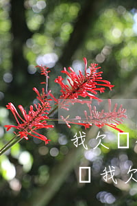我欠錢被起訴賬戶被凍結(jié)怎么解凍(我欠錢被起訴賬戶被凍結(jié)怎么解凍)