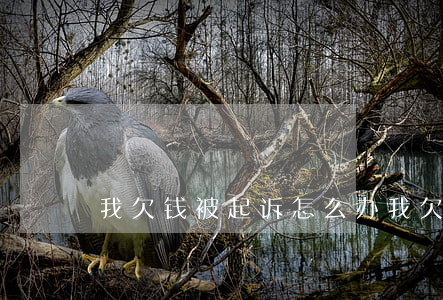 我欠钱被起诉怎么办 我欠钱被起诉了怎么办
