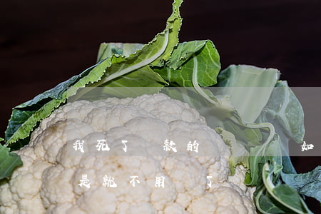 我死了貸款的錢該誰還(如果我死了貸款是不是就不用還了)