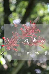 我每天都偷視他(偷偷看他的時(shí)候他也看我)