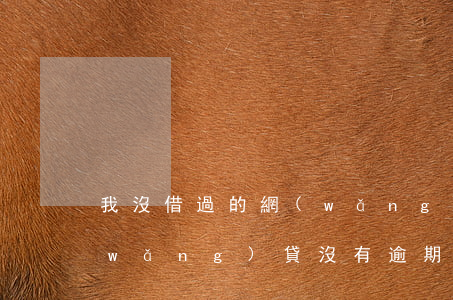 我沒借過的網(wǎng)貸說我逾期(網(wǎng)貸沒有逾期)