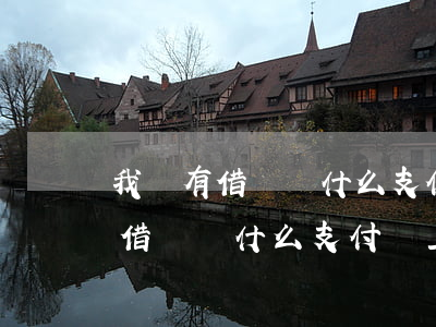 我沒有借錢為什么支付寶上有逾期-我沒有借錢為什么支付寶上有逾期記錄