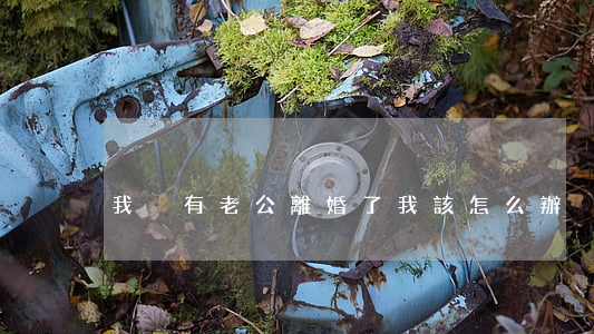 我沒有老公離婚了我該怎么辦