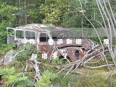 我沒有逾期借唄額度沒了(借唄沒逾期突然全部借不了)