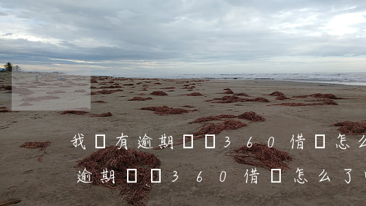 我沒有逾期記錄360借條怎么了-我沒有逾期記錄360借條怎么了呢