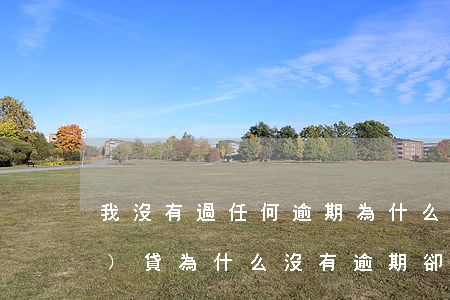 我沒有過任何逾期為什么不能網(wǎng)貸(為什么沒有逾期卻借不了網(wǎng)貸)