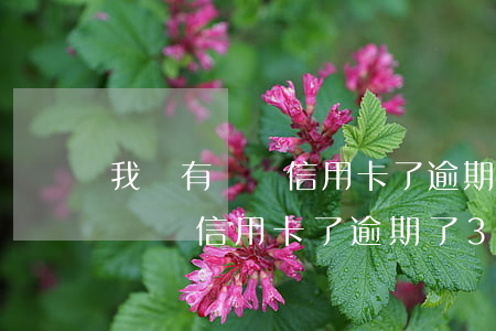我沒有錢還信用卡了逾期了3個月-我沒有錢還信用卡了逾期了3個月怎么辦