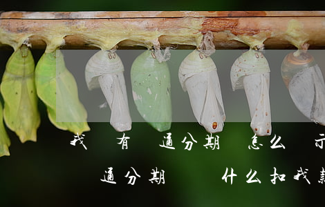 我沒有開通分期樂怎么顯示要還款-我沒有開通分期樂為什么扣我款