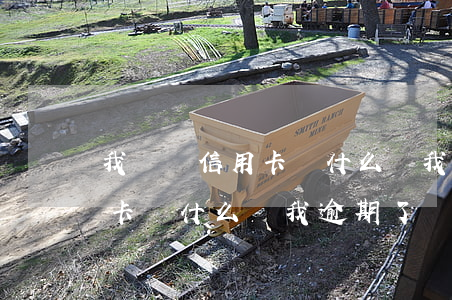 我沒辦信用卡為什么說我逾期了(我沒辦信用卡為什么說我逾期了兩天)