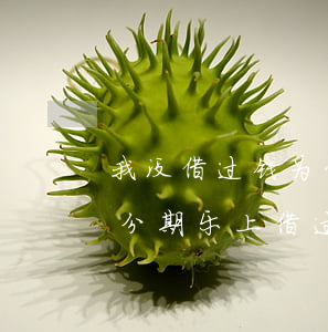 我没借过钱为什么分期乐提醒还款-我没在分期乐上借过钱 但是现在却说我借了
