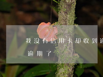 我没有信用卡却收到逾期提醒(没注意信用卡逾期了)