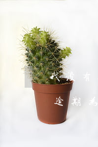 我没有逾期为什么有电话说我逾期-我没有逾期为什么有电话说我逾期了