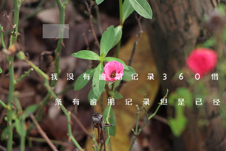 我没有逾期记录360借条怎么了(360借条有逾期记录,但是已经全额还款了)