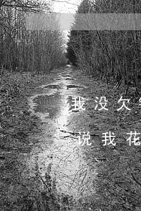 我没欠钱说我花呗借呗逾期没还-我没欠钱说我花呗借呗逾期没还怎么办
