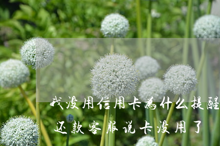 我没用信用卡为什么提醒我还款（信用卡逾期还款客服说卡没用了）