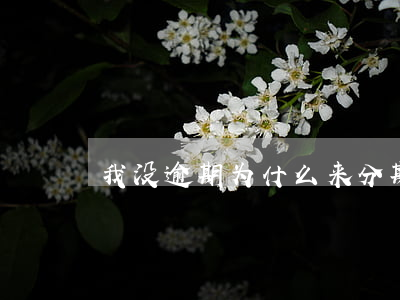 我没逾期为什么来分期借不了款-