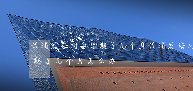 我浦发信用卡逾期了几个月 我浦发信用卡逾期了几个月怎么办