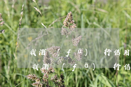 我浦發(fā)銀行信用卡逾期四十三天-我浦發(fā)銀行信用卡逾期四十三天怎么辦
