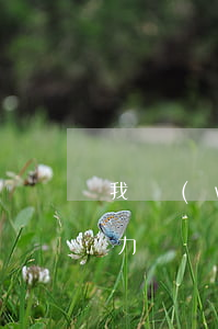 我無(wú)力償還貸款的后果 無(wú)力還貸款會(huì)怎么處理