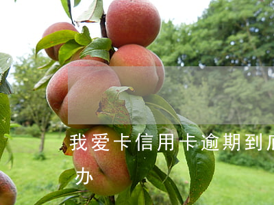 我爱卡信用卡逾期到底怎么办(卡逾期了怎么办)