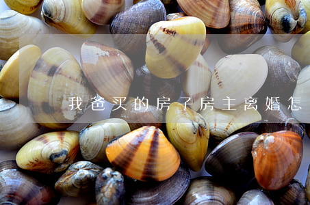 我爸买的房子房主离婚怎么办