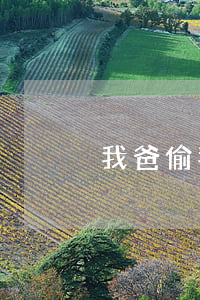我爸偷我信用卡欠钱不还(爸爸欠信用卡)