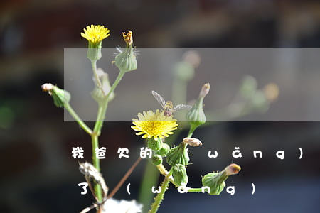 我爸欠的網(wǎng)貸我還用還嗎(我欠了網(wǎng)貸)