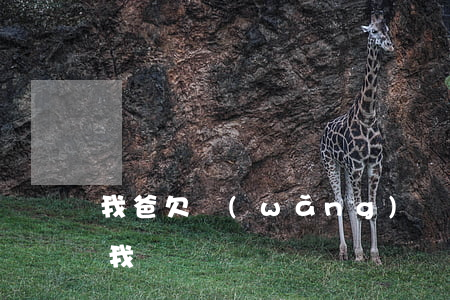 我爸欠網(wǎng)貸會(huì)找到我嗎