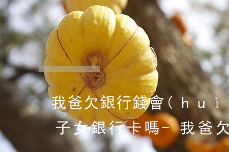 我爸欠銀行錢會(huì)凍結(jié)子女銀行卡嗎-我爸欠銀行錢會(huì)凍結(jié)子女銀行卡嗎怎么辦