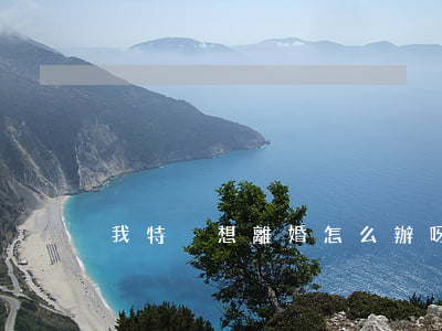 我特別想離婚怎么辦呀
