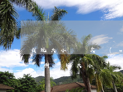 我玩大小單雙欠網(wǎng)貸5萬怎么辦啊-玩大小單雙輸了5萬還能回本嗎
