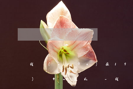 我現(xiàn)在19歲欠網(wǎng)貸4w怎么辦-我現(xiàn)在19歲欠網(wǎng)貸4w怎么辦呢