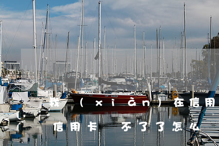 我現(xiàn)在信用卡還不起怎么辦(欠信用卡還不了了怎么辦)
