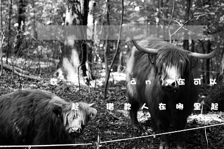 我現(xiàn)在可以去法院起訴借款人嗎(起訴借款人在哪里起訴)