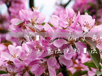 我現(xiàn)在可以重新申請(qǐng)要法院判嗎(法院已經(jīng)判決完還能再次起訴嗎)