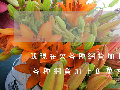 我現在欠各種網貸加上8萬左右-我現在欠各種網貸加上8萬左右怎么辦
