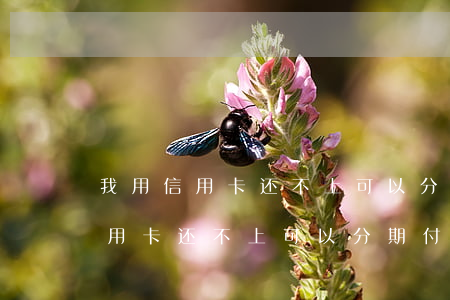 我用信用卡还不上可以分期付款吗-我用信用卡还不上可以分期付款吗怎么办