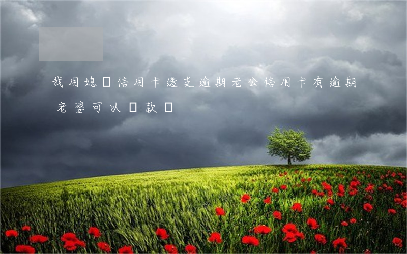 我用媳婦信用卡透支逾期(老公信用卡有逾期,老婆可以貸款嗎)