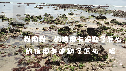 我用我媽的信用卡逾期了怎么辦-我用我媽的信用卡逾期了怎么辦呢