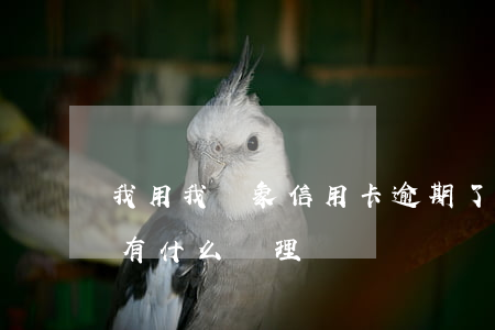 我用我對象信用卡逾期了(今年的信用卡逾期有什么處理)