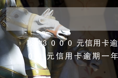 我的3000元信用卡逾期一年-我的3000元信用卡逾期一年怎么辦